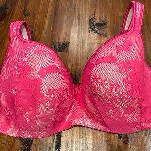 Cacique Lane Bryant Pink Bra 36D